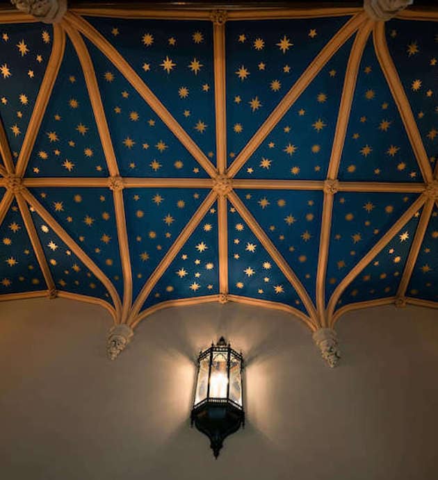 What WE Do decorative